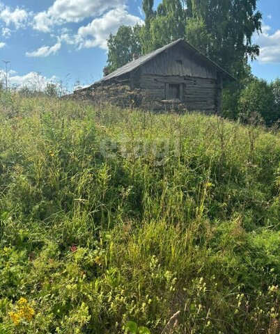 р-н Вилегодский д Борисовец фото