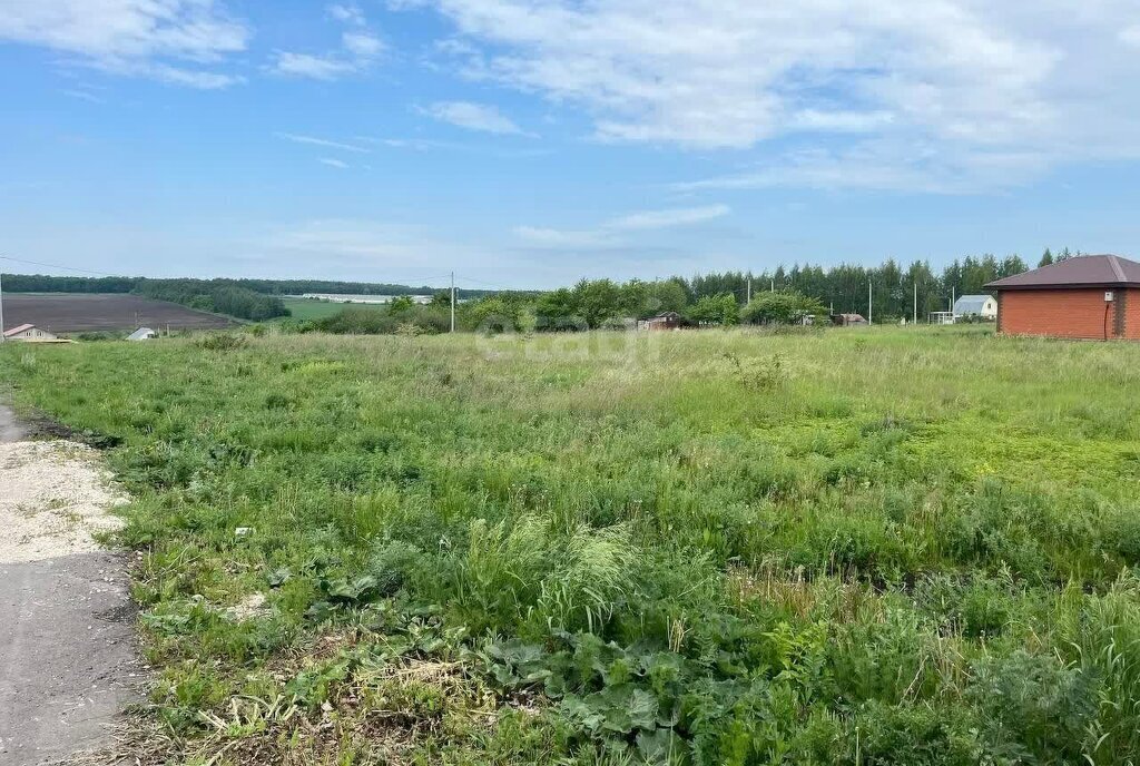 земля р-н Лямбирский с Атемар ул Синюши Атемарское сельское поселение фото 6