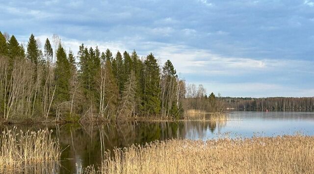 р-н Кирилловский д Кондратово фото