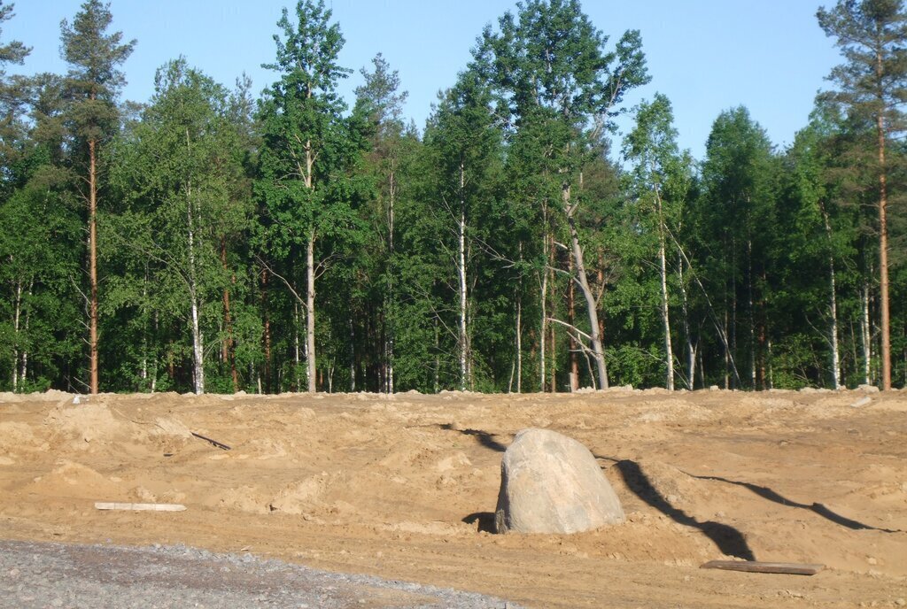 земля Токсовское городское поселение, СНТ Новое Токсово фото 3