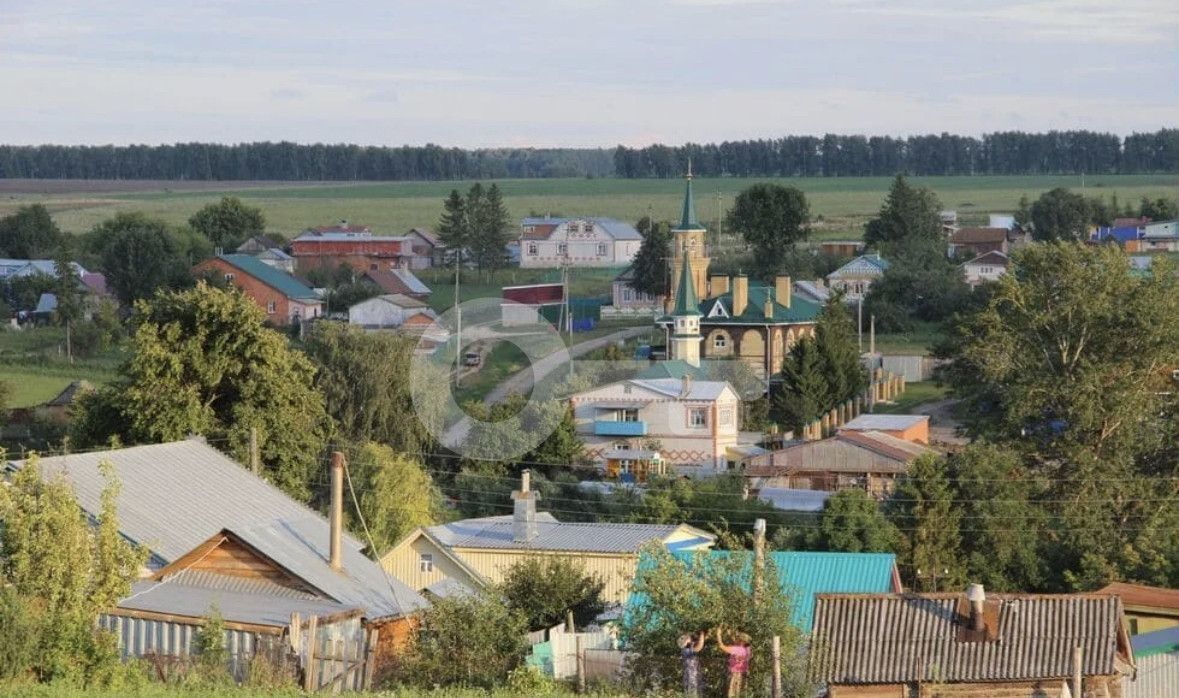 земля р-н Верхнеуслонский д Каинки ул Центральная Бурнашевское сельское поселение, Нижние Вязовые фото 2