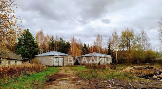 городское поселение Судогда фото