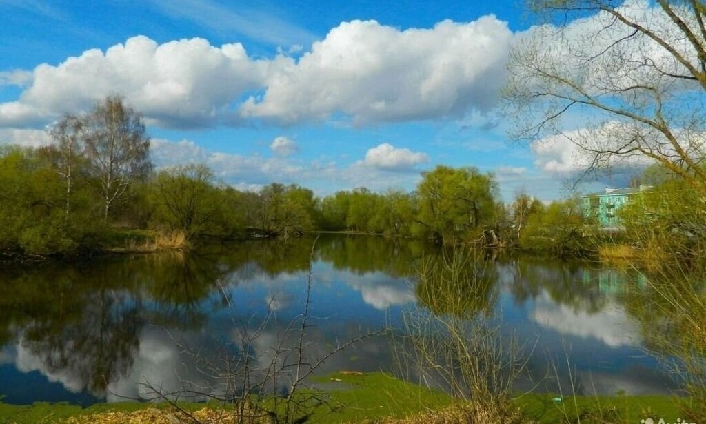 квартира городской округ Зарайск с Макеево ул Железнодорожная фото 19