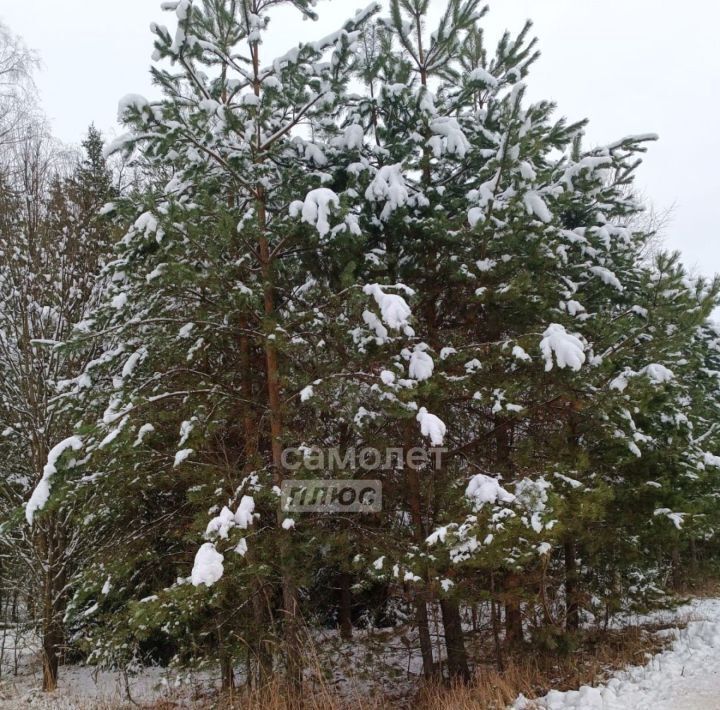 земля городской округ Наро-Фоминский д Таширово улица Ташировские поляны, Наро-Фоминск фото 9