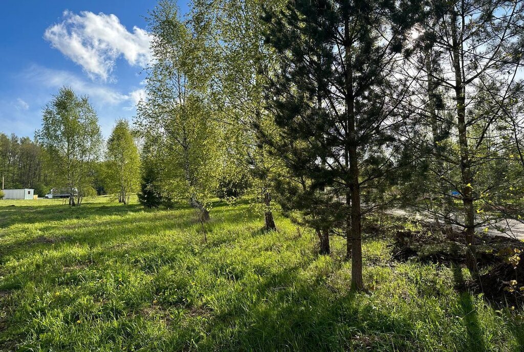 земля городской округ Раменский д Клишева Раменское фото 17