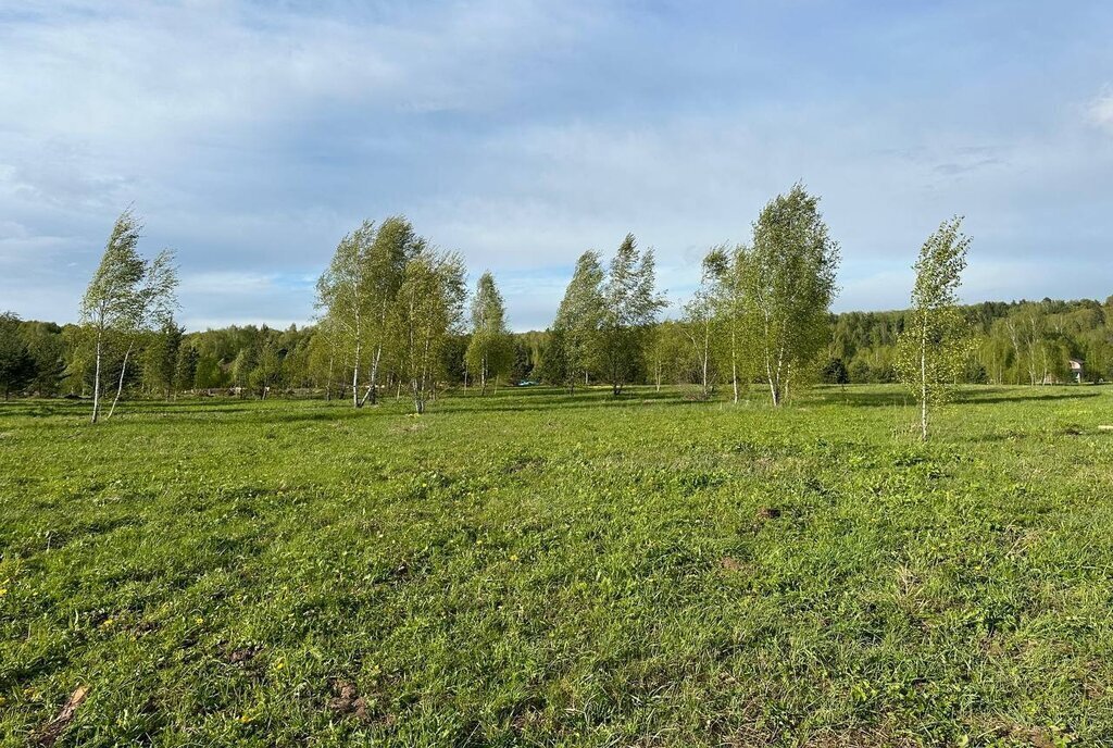 земля городской округ Раменский д Клишева Раменское фото 20