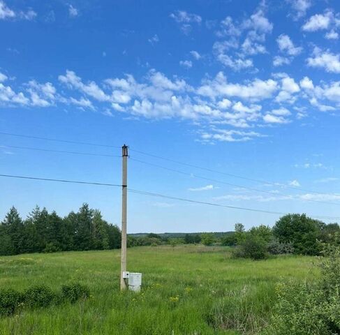 земля д Толузаковка ул Мостовая Саловский сельсовет фото