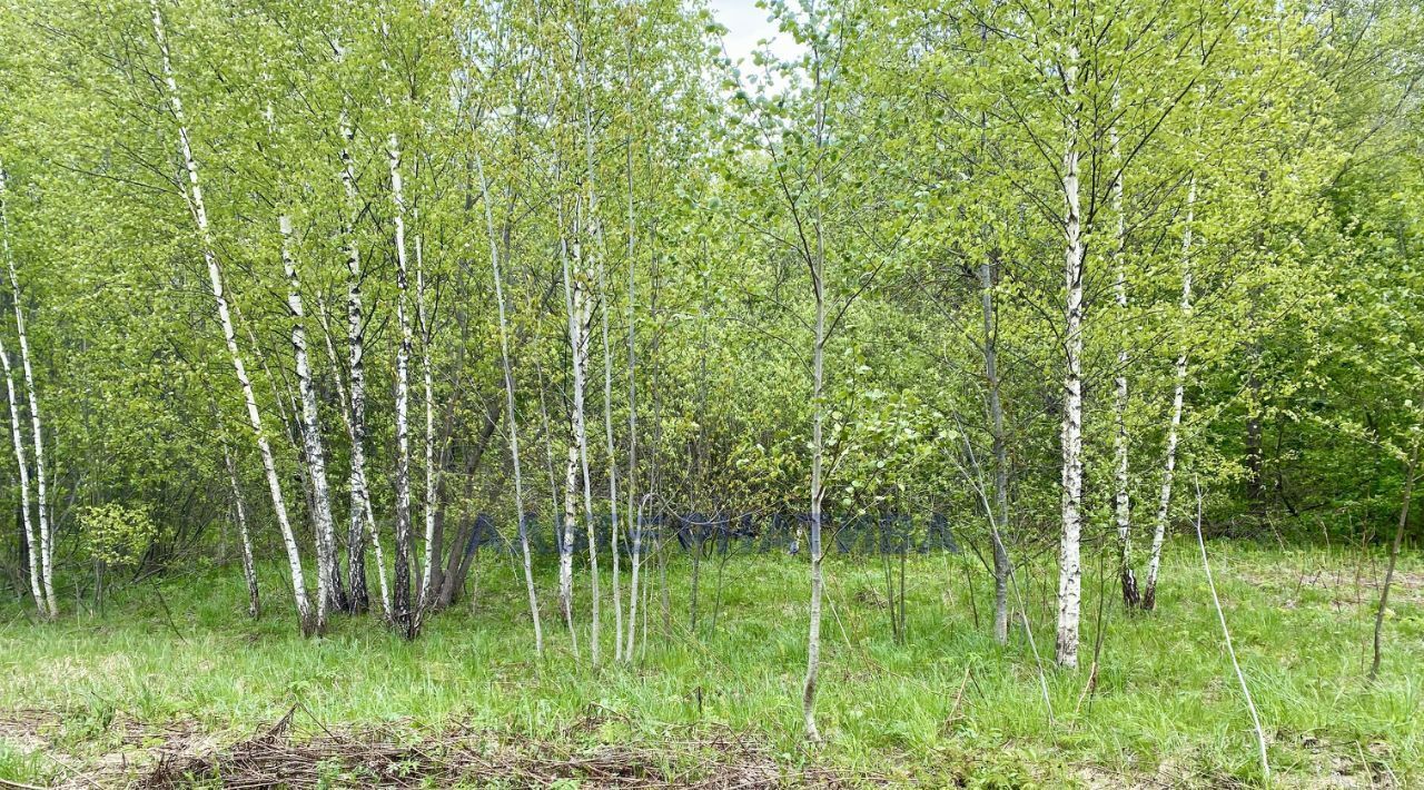 земля р-н Переславский с Ям Переславль-Залесский муниципальный округ фото 16