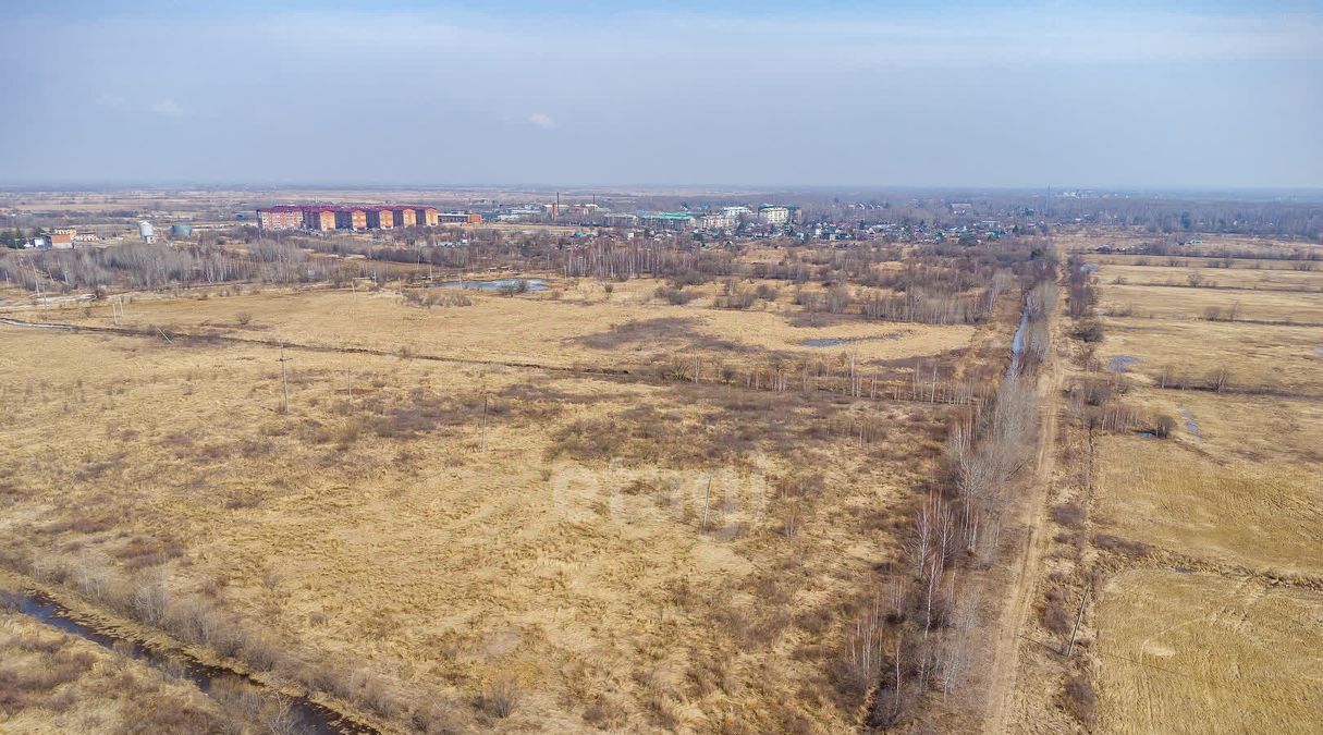 земля р-н Хабаровский с Мирное фото 6