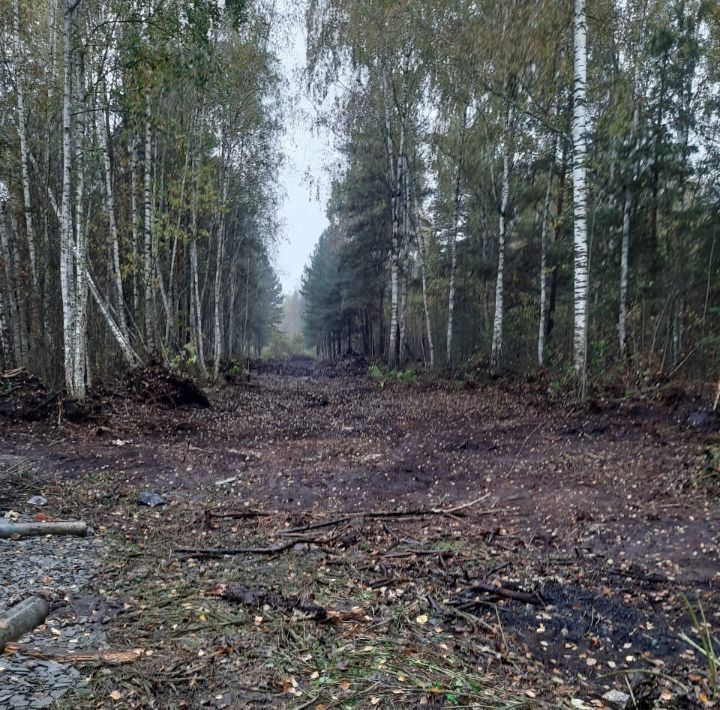 земля городской округ Богородский г Ногинск снт Сокол Железнодорожная фото 1