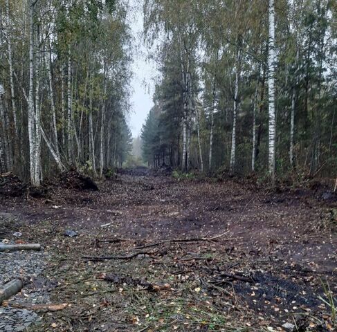 земля г Ногинск снт Сокол Железнодорожная фото