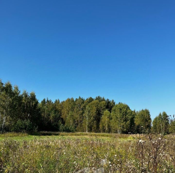 земля городской округ Раменский д Бисерово фото 3