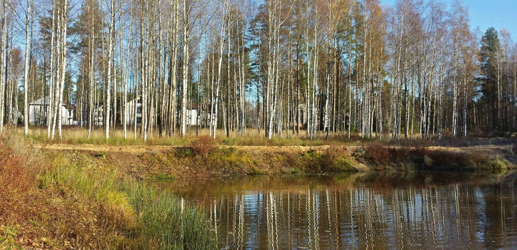 дом р-н Всеволожский д Матокса ул Въездная 1 фото 9