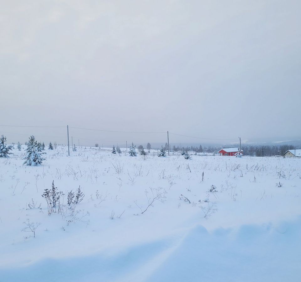 земля р-н Пермский д Большакино ул 3-я Загородная Култаево фото 2