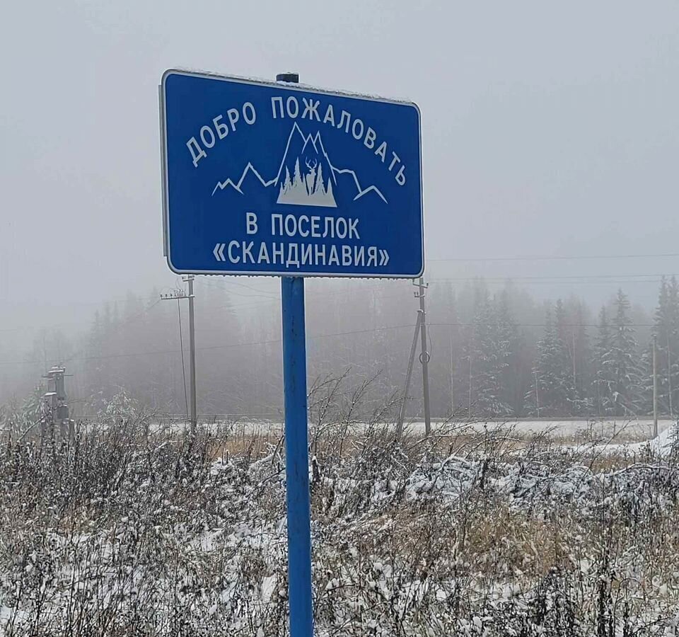 земля р-н Пермский д Большакино ул 3-я Загородная Култаево фото 4