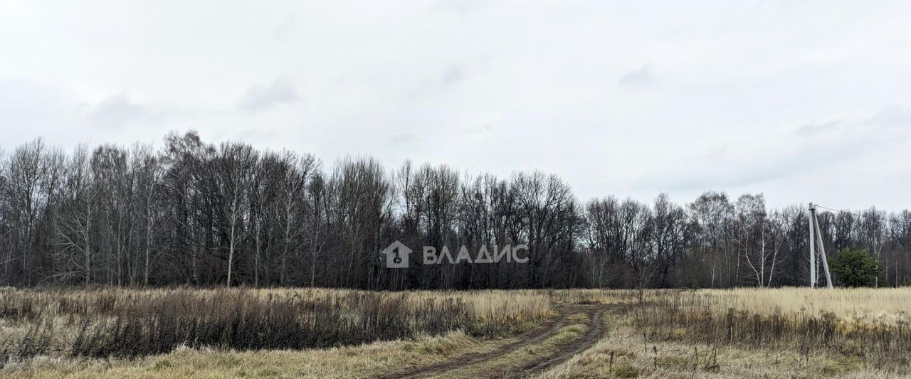 земля г Владимир д Уварово ул Большая Рахмановская р-н Октябрьский фото 4