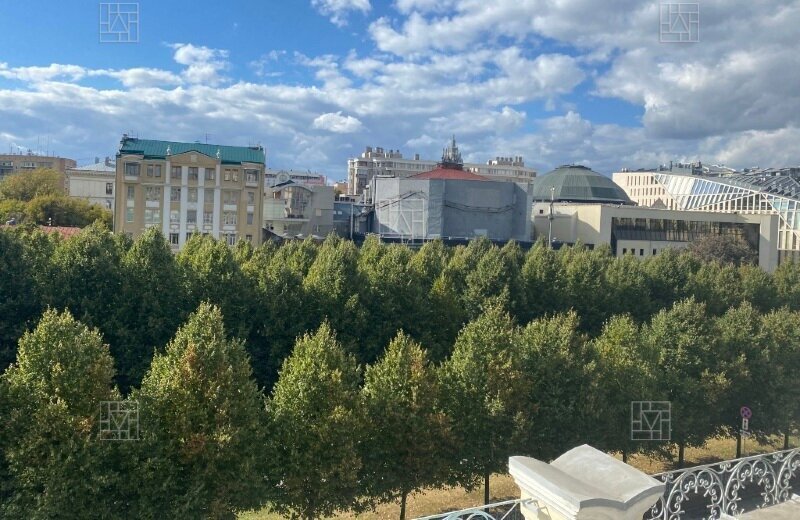 квартира г Москва метро Цветной бульвар б-р Цветной 16/1 муниципальный округ Мещанский фото 13