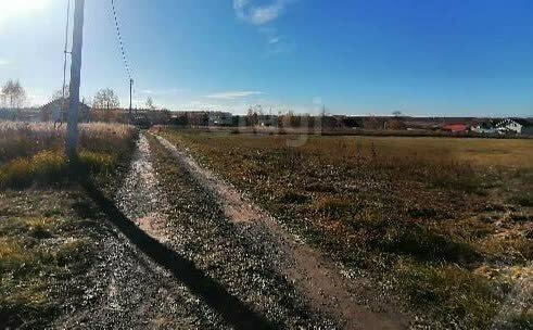 земля городской округ Коломенский д Борисовское городской округ Коломна фото 3