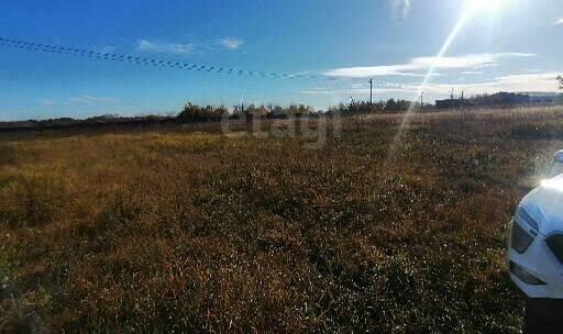 земля городской округ Коломенский д Борисовское городской округ Коломна фото 6