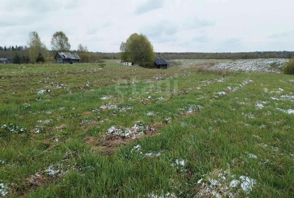 земля р-н Киришский д Клинково ул Центральная Будогощское городское поселение фото 1