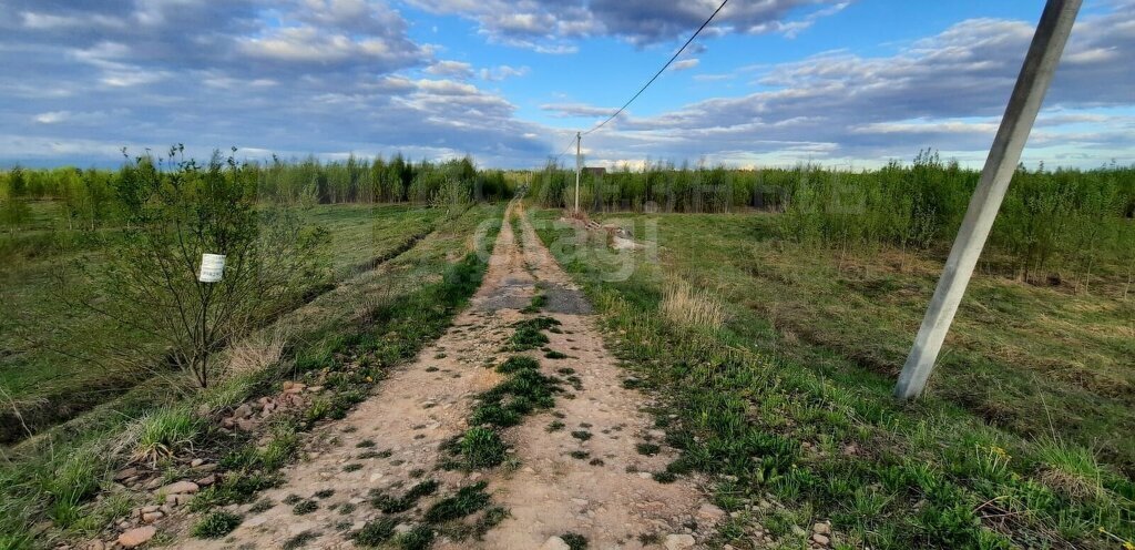 земля р-н Новгородский д Васильевское Ракомское сельское поселение фото 6