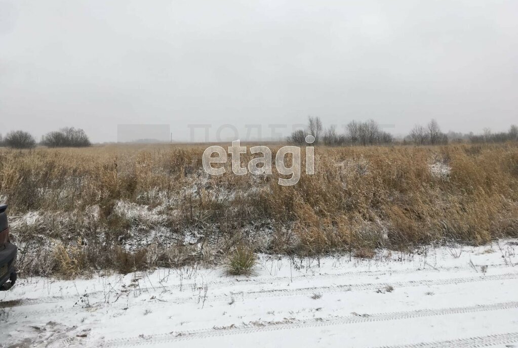 земля р-н Новгородский д Большое Подсонье Борковское сельское поселение фото 7