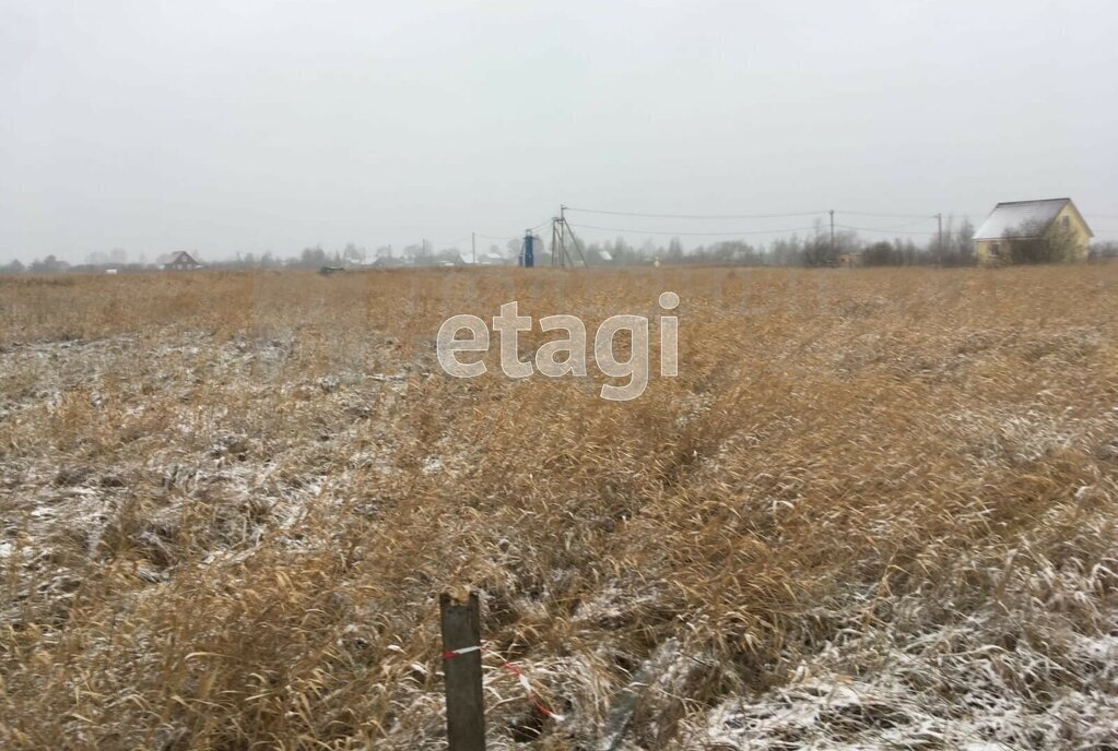 земля р-н Новгородский д Большое Подсонье Борковское сельское поселение фото 8