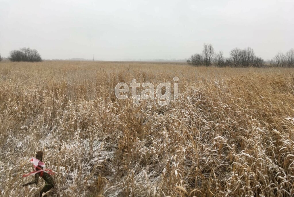 земля р-н Новгородский д Большое Подсонье Борковское сельское поселение фото 10