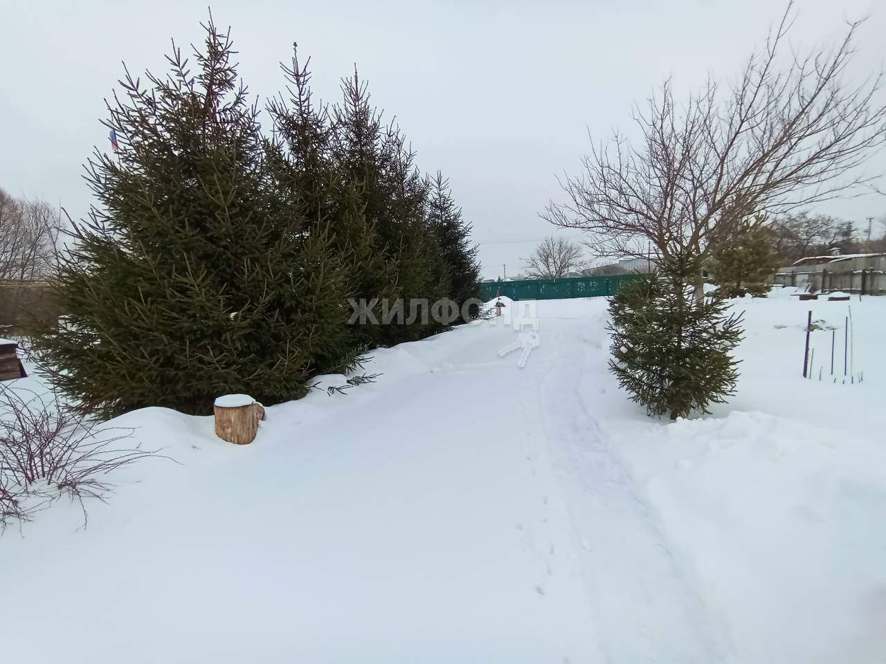 дом р-н Рамонский СНТ Родник территория фото 12