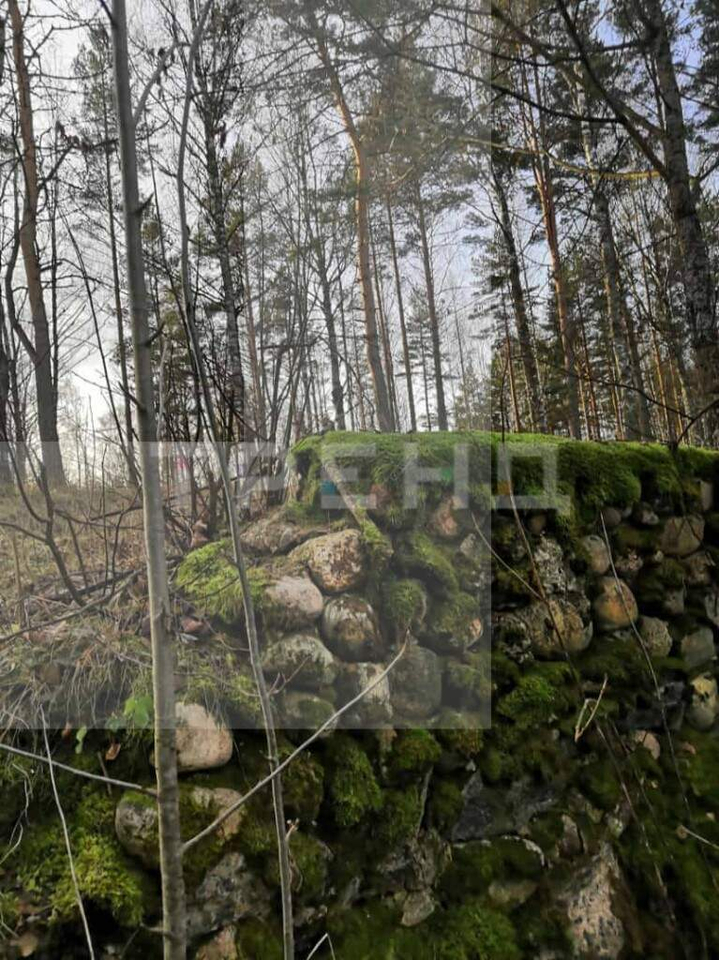 земля р-н Выборгский п Барышево пр-д Яблоневый фото 21