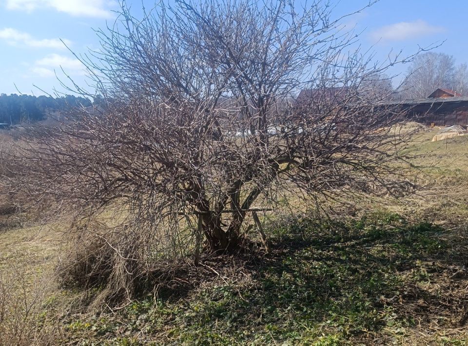 дом р-н Томский с Зоркальцево ул Советская 1 Зоркальцевское с/пос фото 4