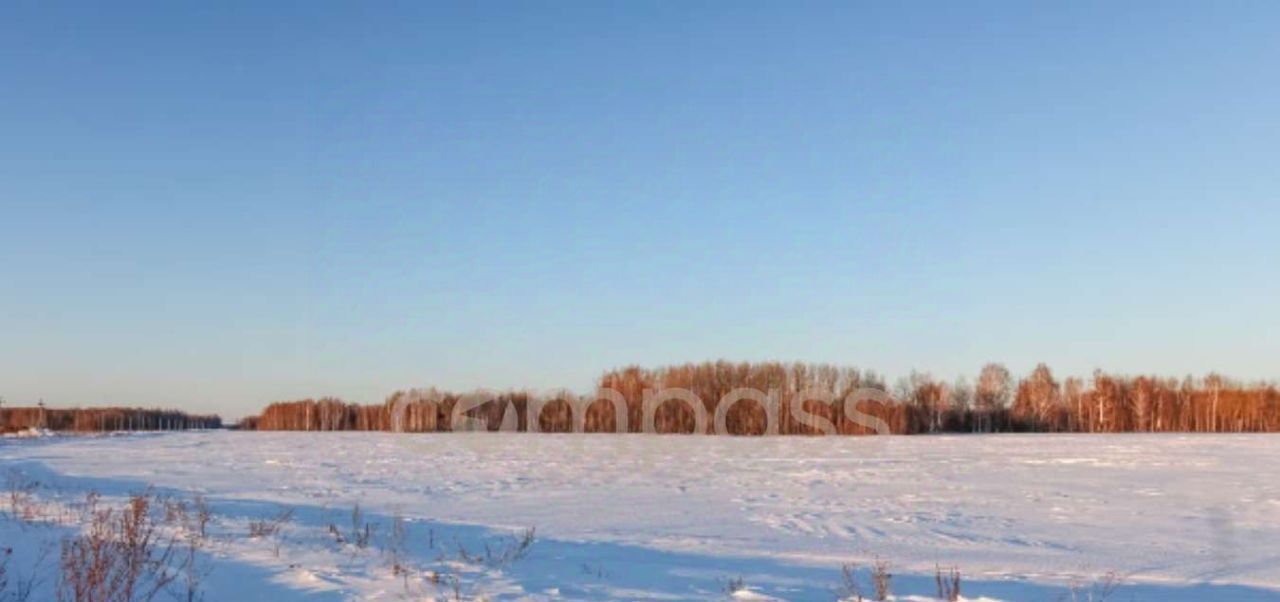 земля р-н Тюменский с Горьковка фото 1