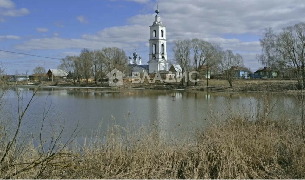 земля р-н Собинский с Бабаево ул Подгорная 10 фото 1