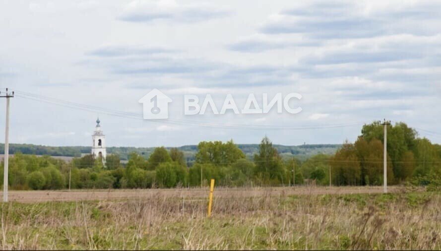 земля р-н Собинский с Бабаево ул Подгорная 10 фото 2