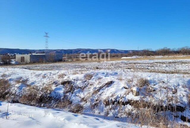 земля Благовещенский муниципальный округ фото