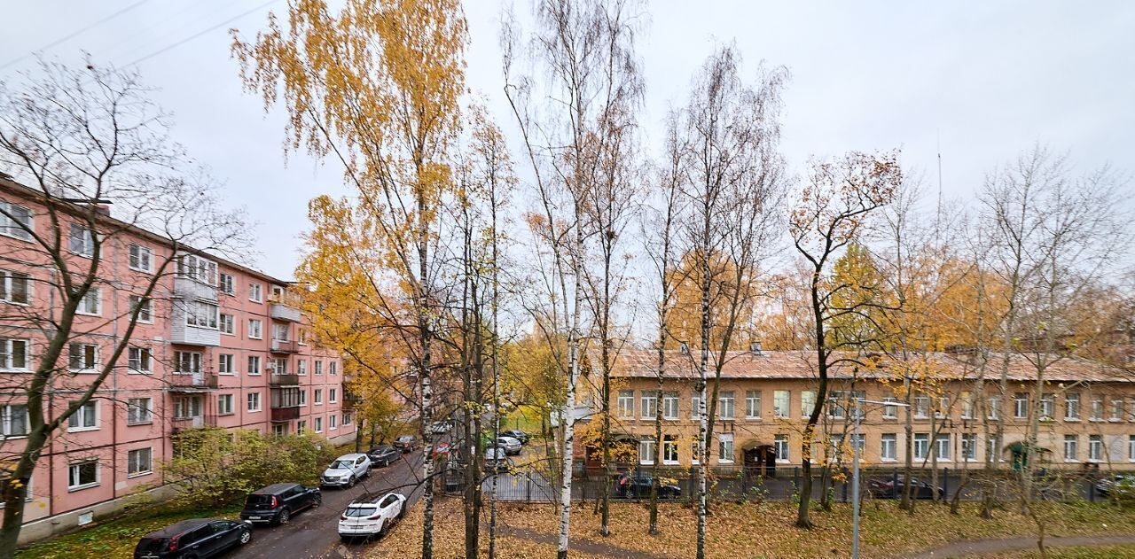 квартира г Санкт-Петербург метро Новочеркасская пр-кт Заневский 23 фото 18