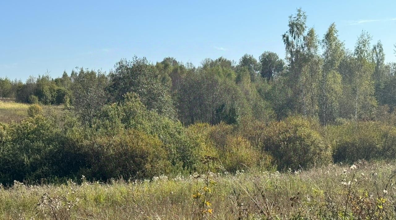 офис городской округ Солнечногорск д Мостки фото 2