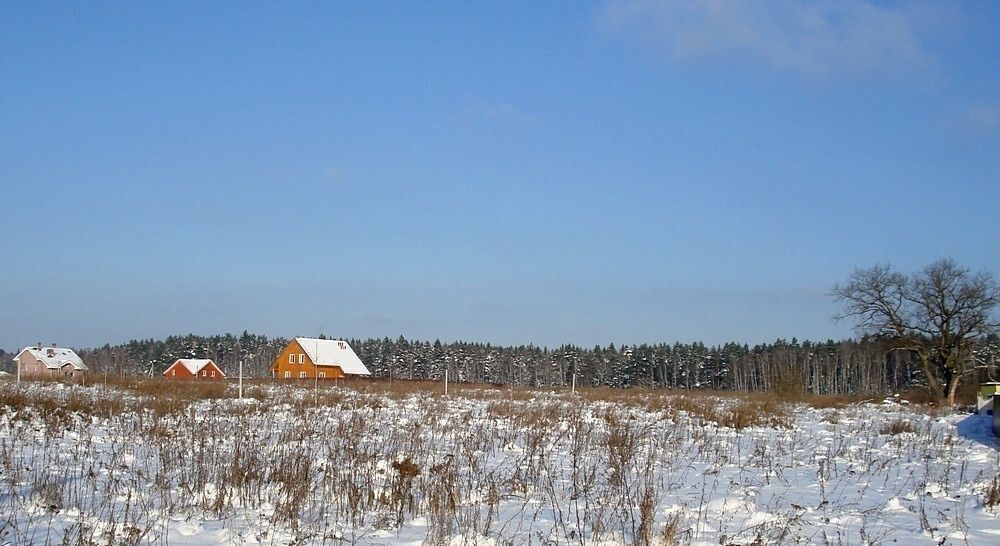 земля г Тула р-н Центральный 1-й Фалдинский пр, с. Фалдино фото 2