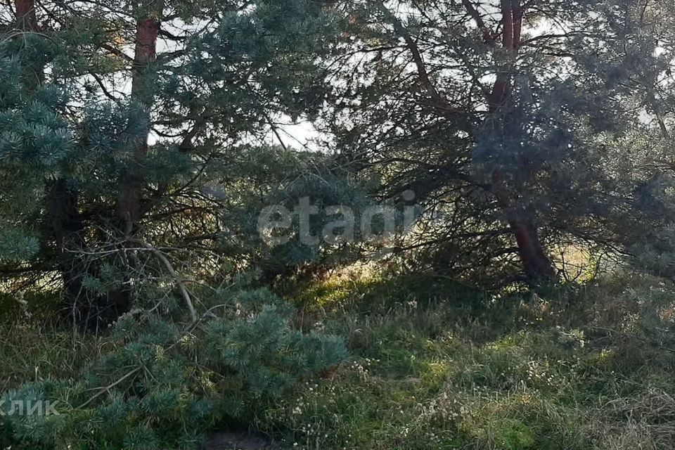 земля р-н Багратионовский г Багратионовск ул Багратиона фото 10