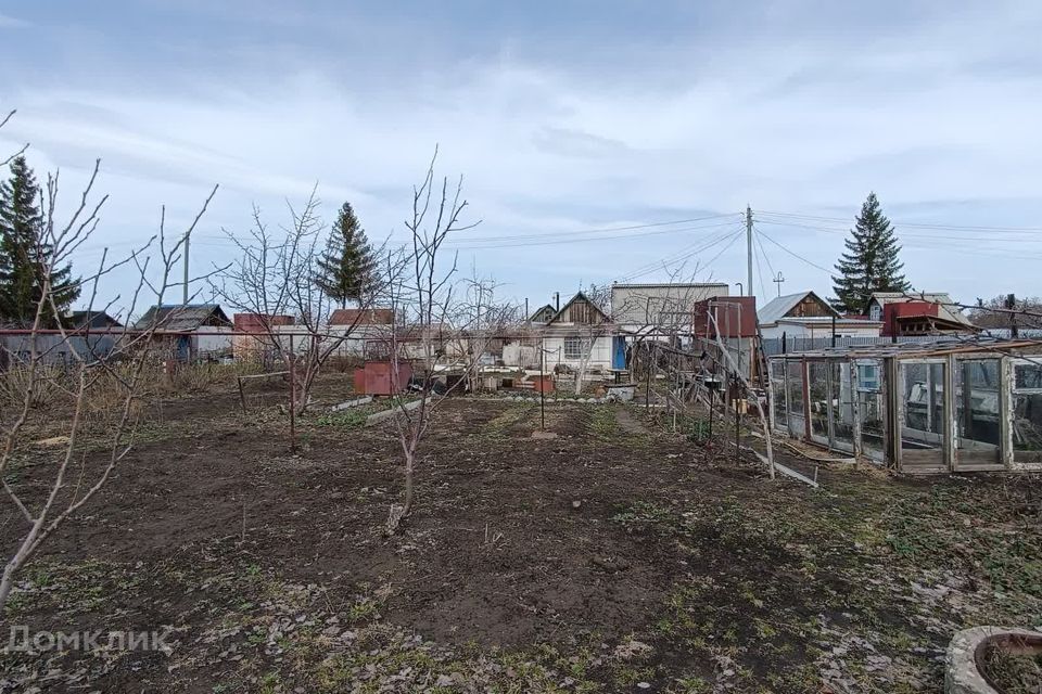 земля г Южноуральск городской округ Южноуральск, СНТ Пенсионер фото 8