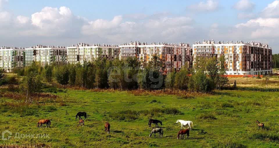 квартира р-н Всеволожский городской посёлок Янино-1, Ясная, 11 к 5 фото 3