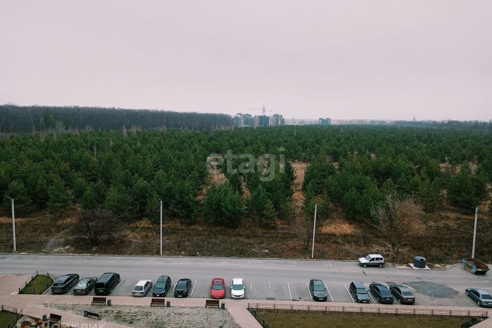 квартира р-н Рамонский x. Ветряк, Выборская, 12 фото 8