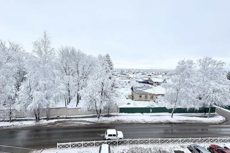 квартира г Йошкар-Ола с Семеновка ул Советская 12а Йошкар-Ола городской округ фото 8