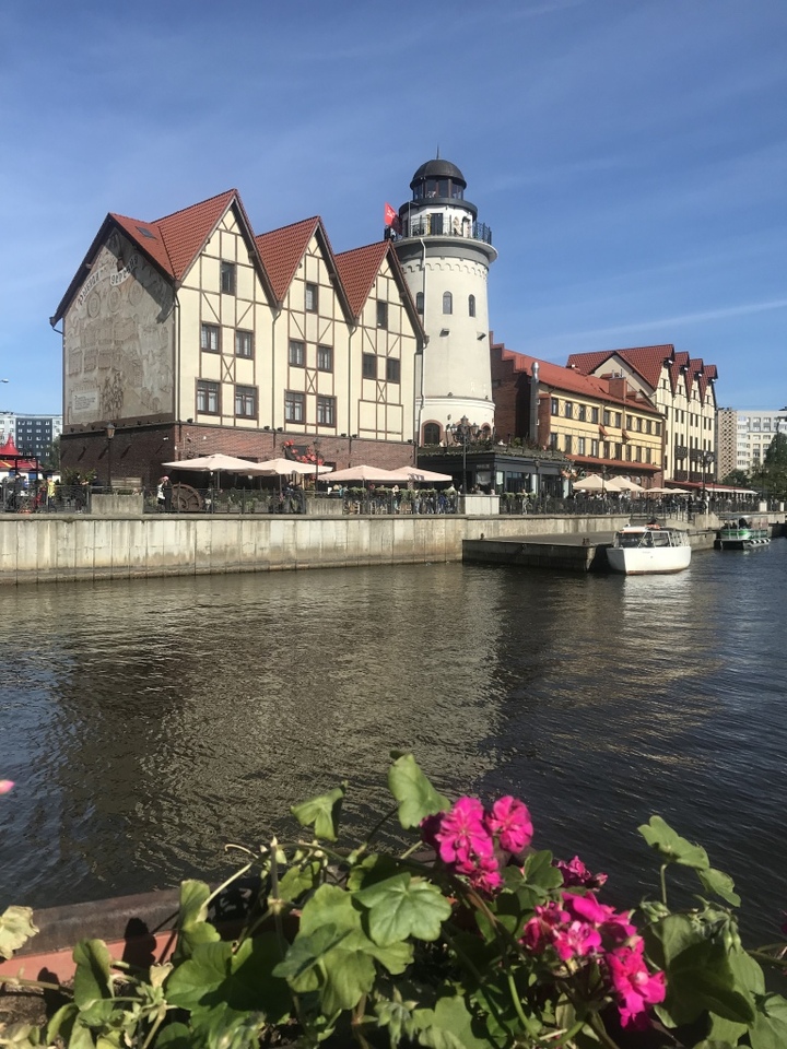 квартира г Калининград р-н Московский фото 21