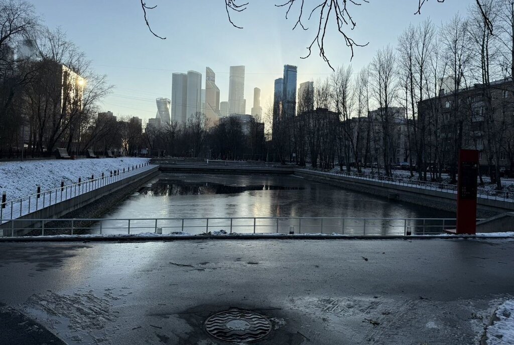 квартира г Москва метро Выставочная пер Стрельбищенский 22с/1 фото 1