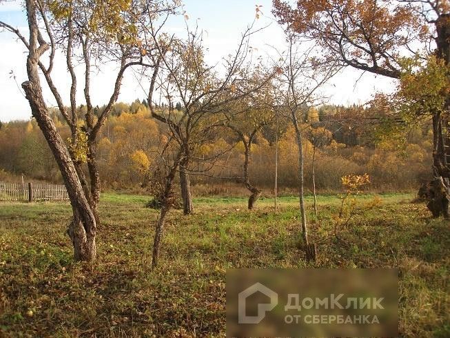 дом р-н Западнодвинский деревня Глубокое фото 4