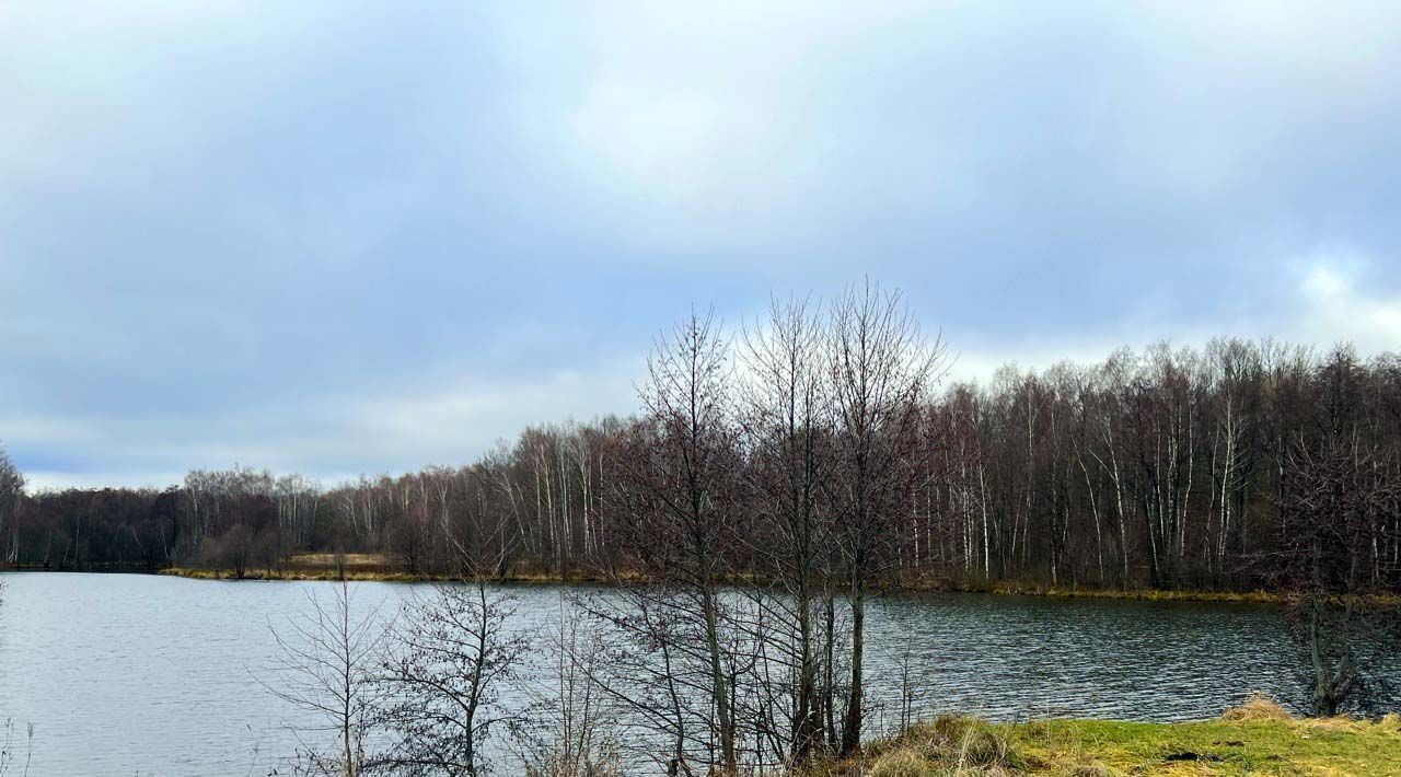 земля городской округ Чехов д Филипповское фото 10