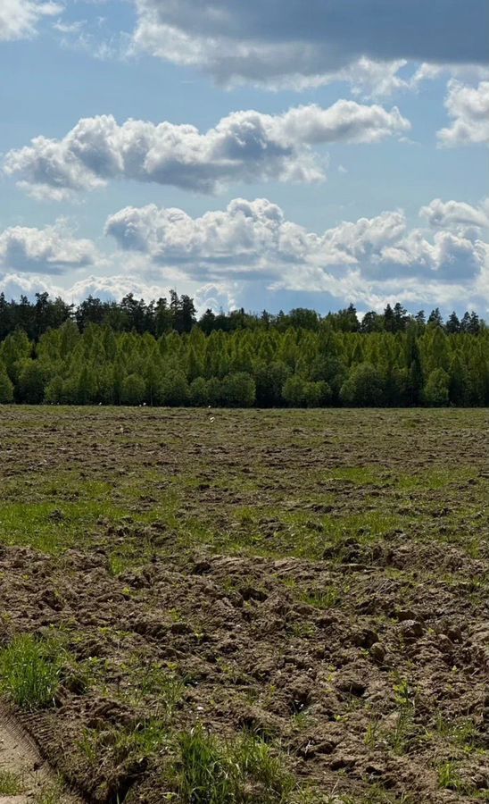 земля городской округ Ленинский д Мисайлово 6 км, Видное, Каширское шоссе фото 3