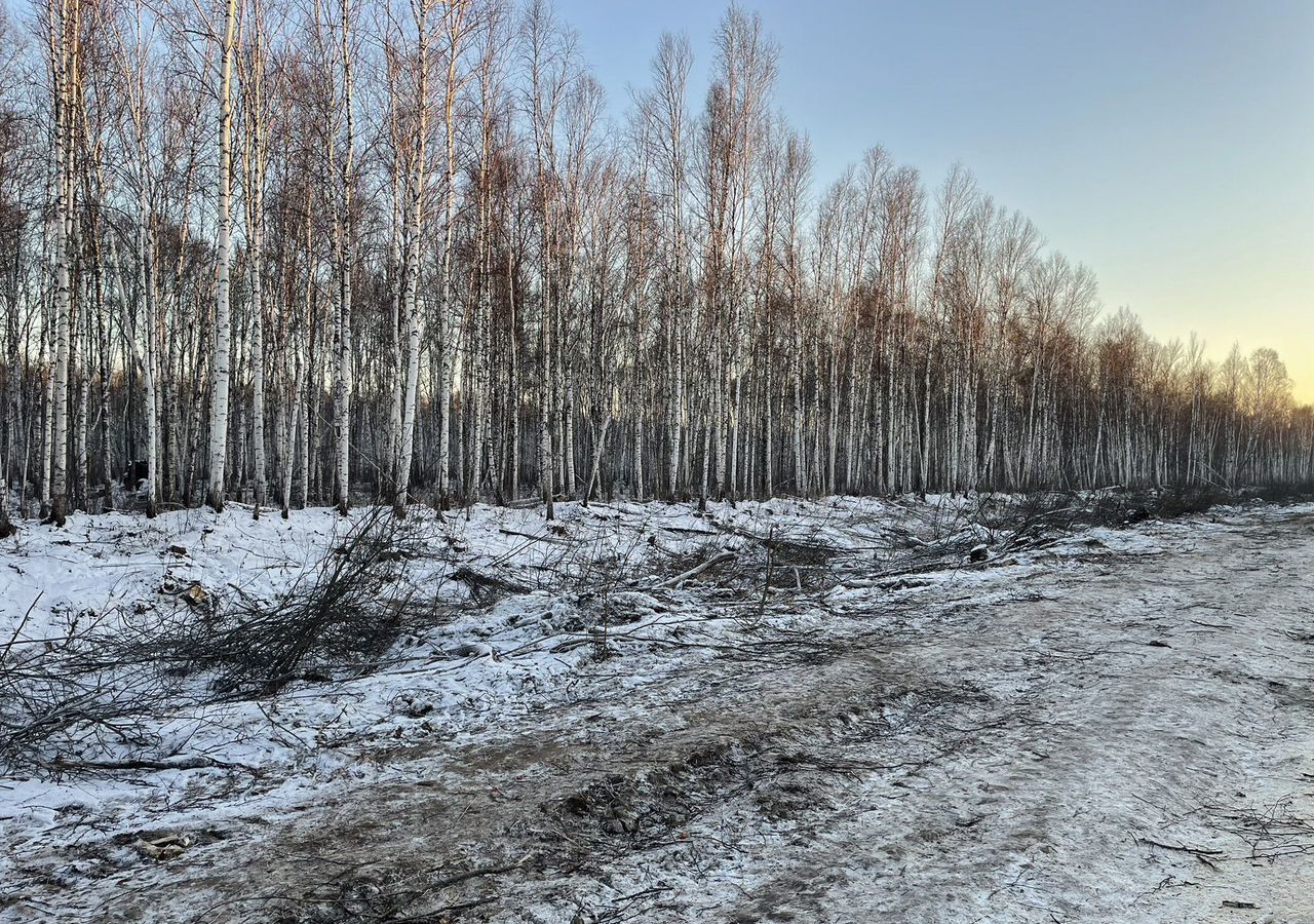 земля р-н Нижнетавдинский снт Здоровье-2 Тюмень фото 1