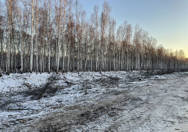 снт Здоровье-2 Тюмень фото